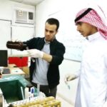المدرب/محمد سيد